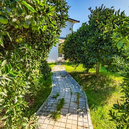 Citrus Ξενοδοχείο
