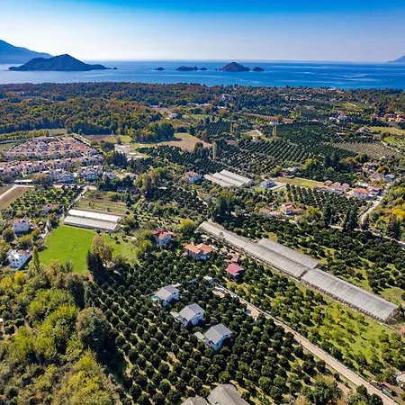Ξενοδοχείο Citrus
